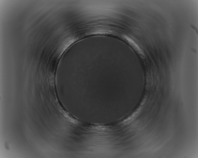 X0000093451329200710121346