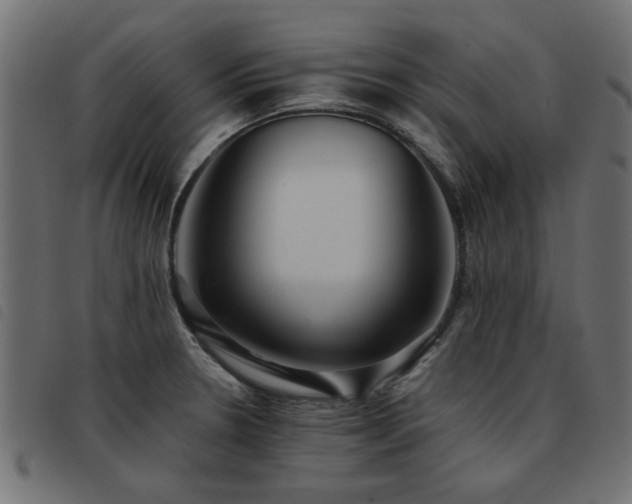 X0000093451330200710121346