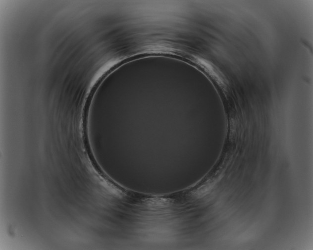 X0000093451331200710121346