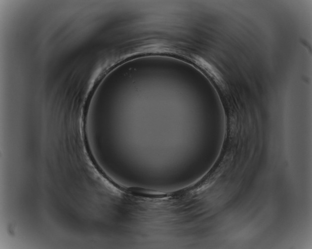 X0000093451334200710121346
