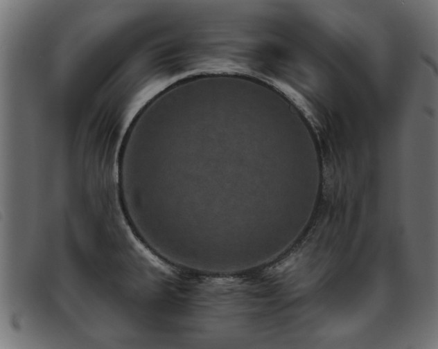 X0000093451335200710121346