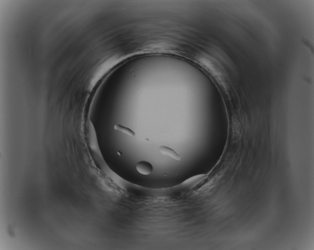X0000093451336200710121346