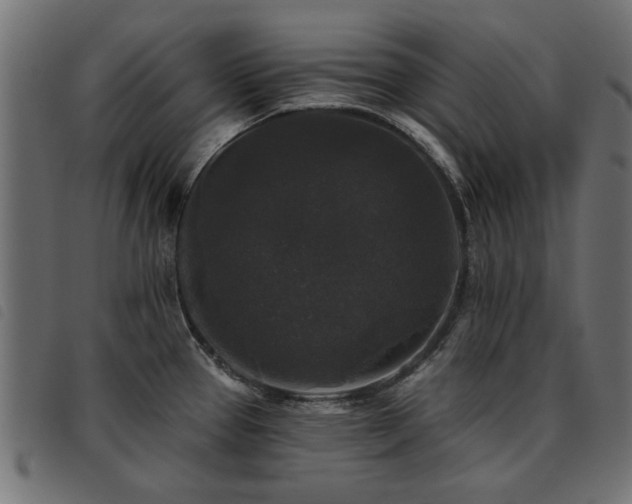 X0000093451337200710121346