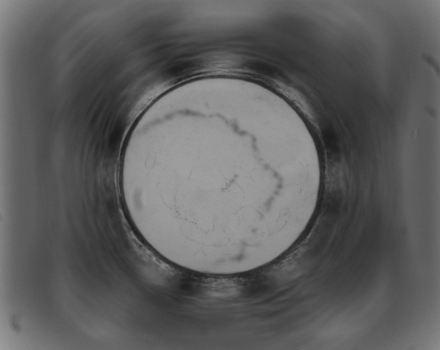 X0000093451338200710121346