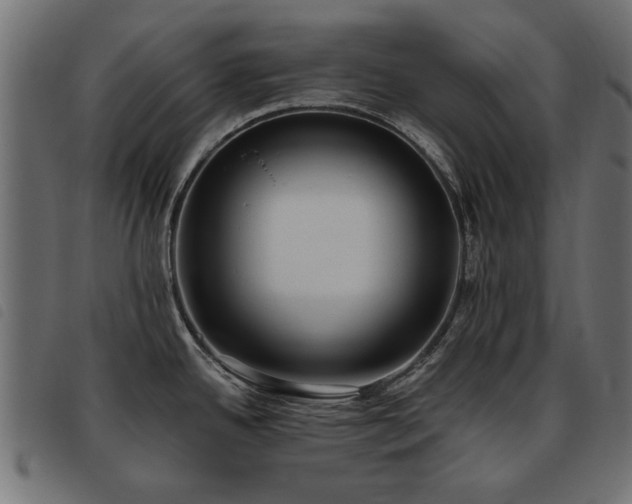 X0000093451342200710121346
