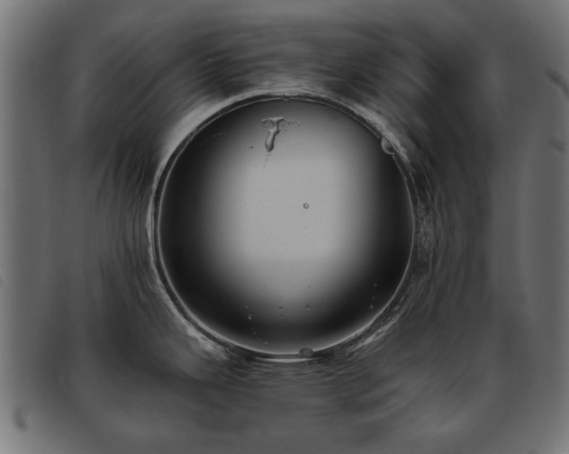 X0000093451343200710121346