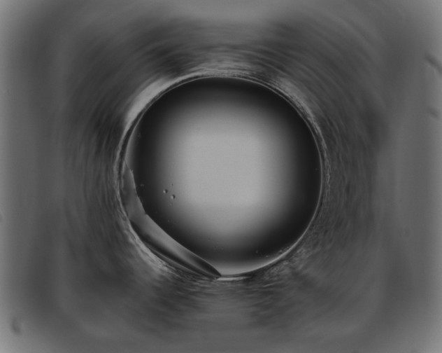 X0000093451344200710121346