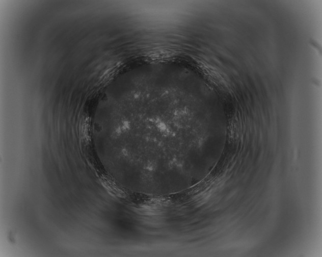 X0000093451346200710121345
