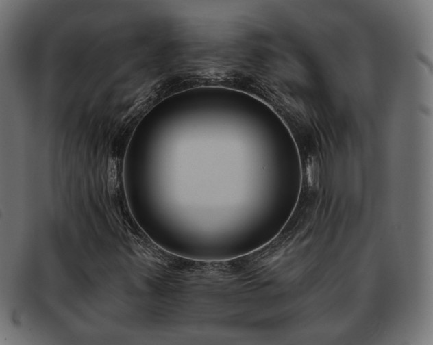 X0000093451347200710121345