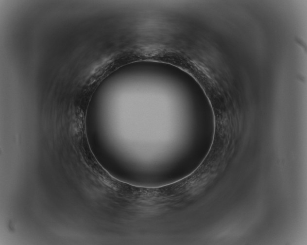 X0000093451349200710121345