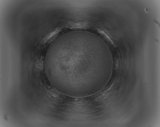 X0000093451350200710121345