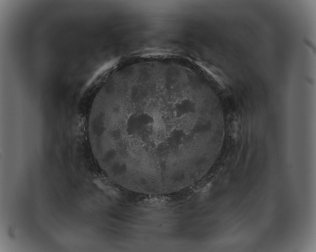 X0000093451351200710121345