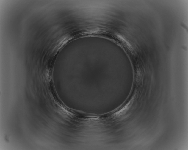 X0000093451353200710121345