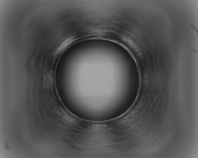 X0000093451354200710121345