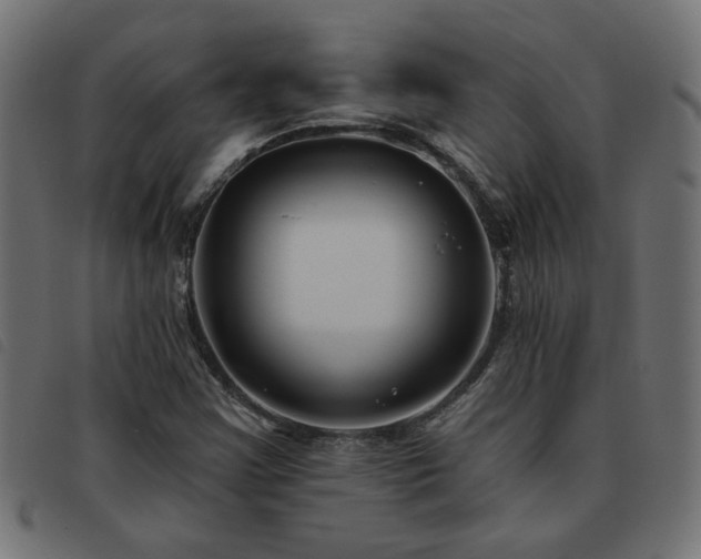X0000093451355200710121345