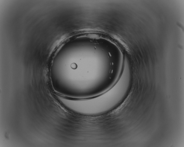 X0000093451357200710121345