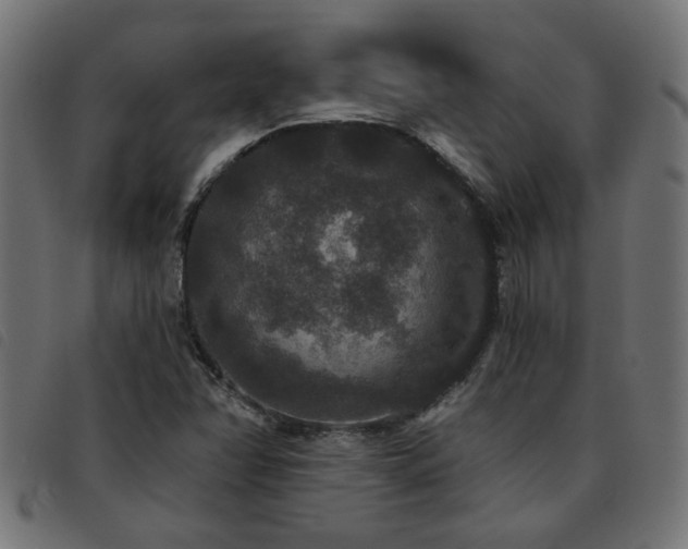 X0000093451358200710121345