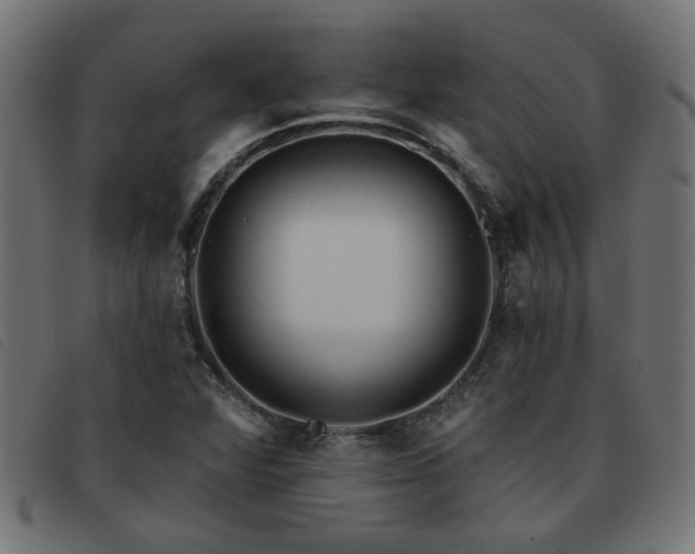 X0000093451360200710121345