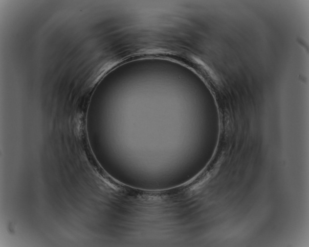 X0000093451361200710121345