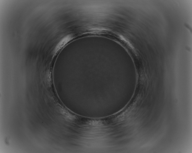 X0000093451362200710121345