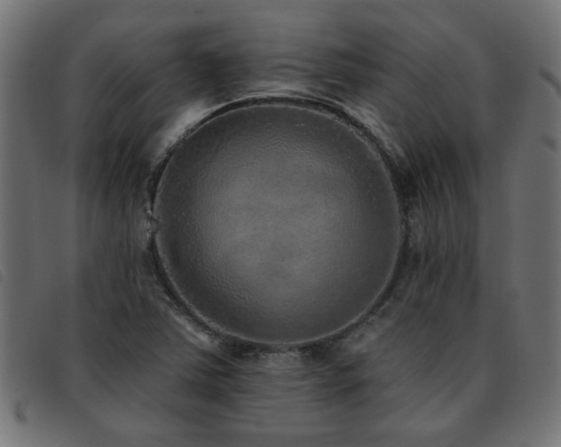 X0000093451363200710121345