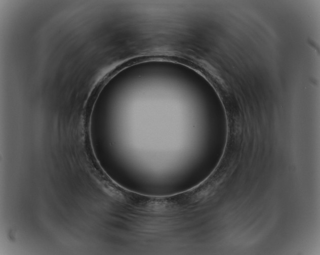 X0000093451364200710121345