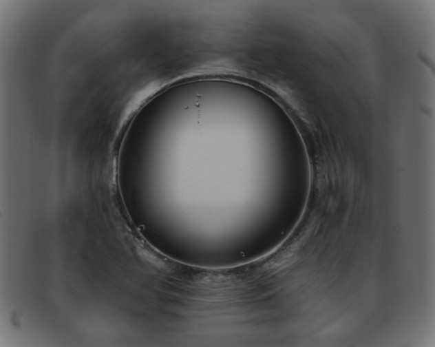 X0000093451366200710121345