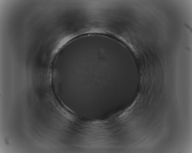 X0000093451367200710121345