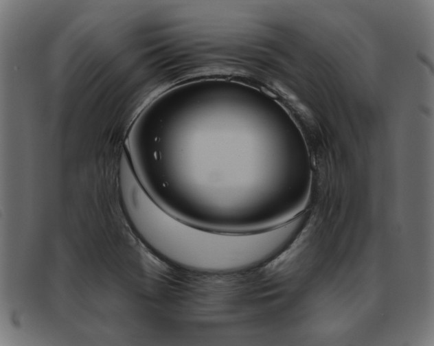 X0000093451369200710121345