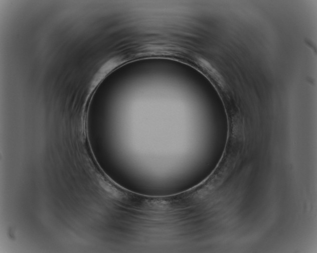 X0000093451370200710121345