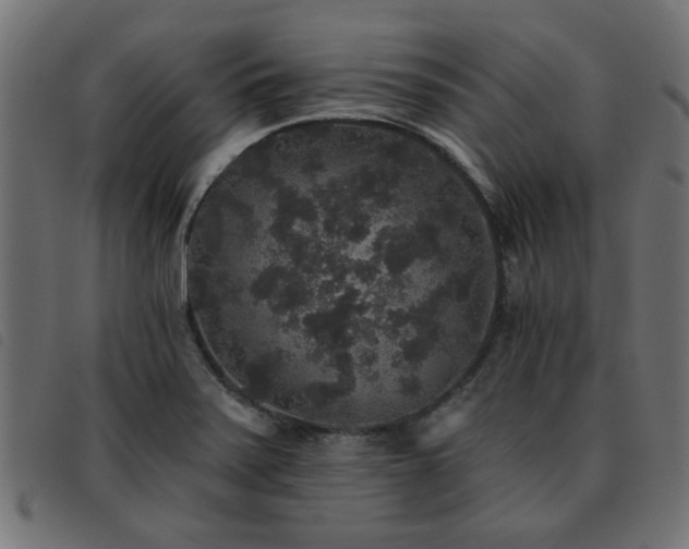 X0000093451371200710121345