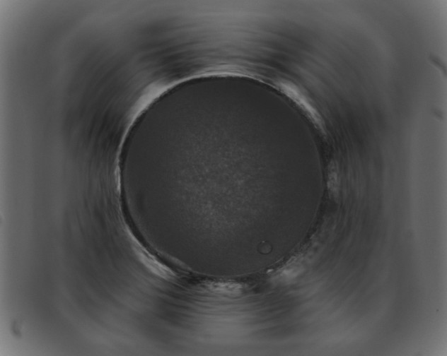 X0000093451372200710121345