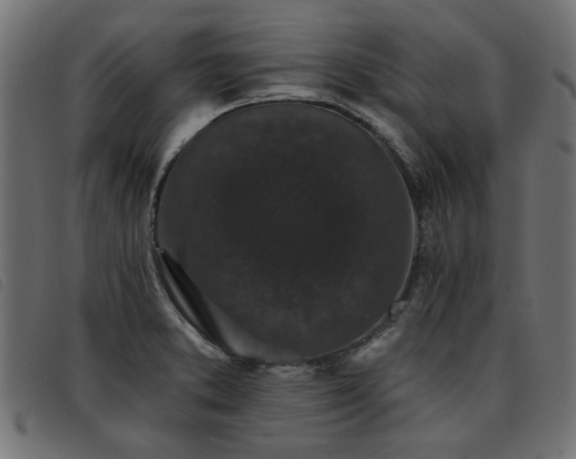 X0000093451373200710121345