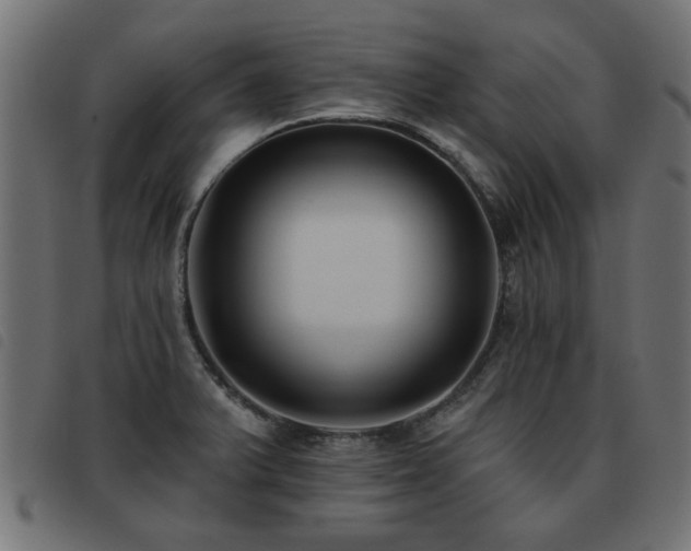 X0000093451375200710121345