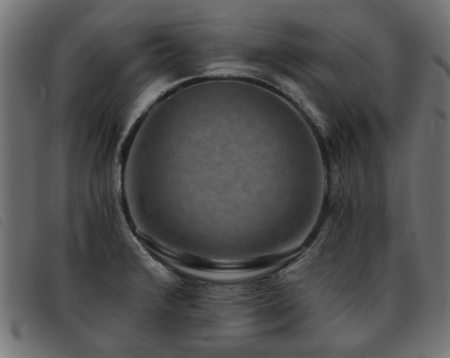X0000093451376200710121345