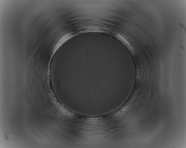 X0000093451378200710121345