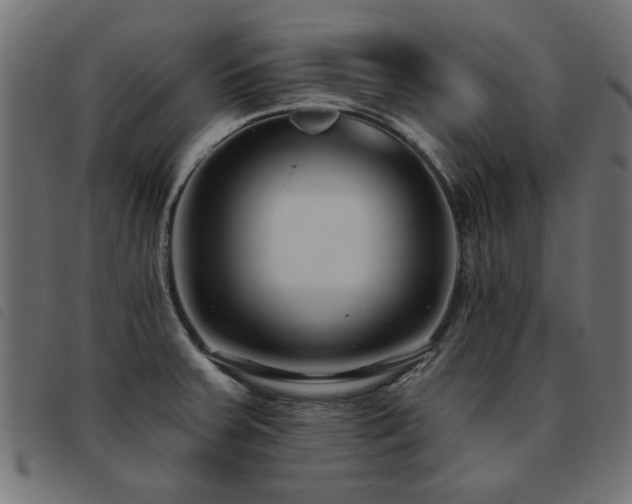 X0000093451379200710121345