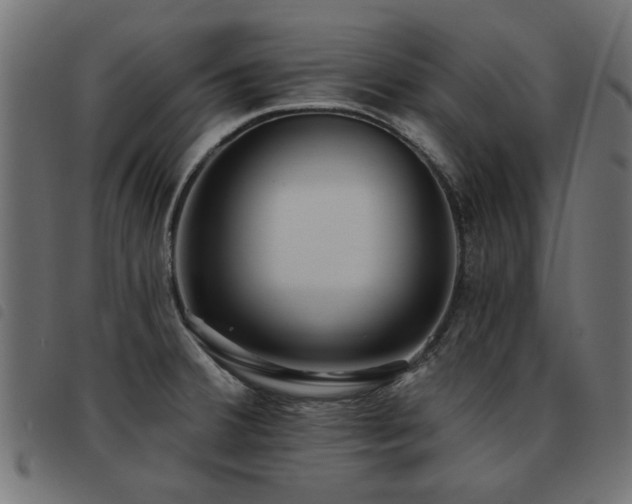 X0000093451380200710121345