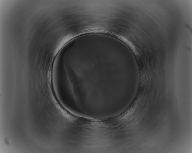 X0000093451383200710121345