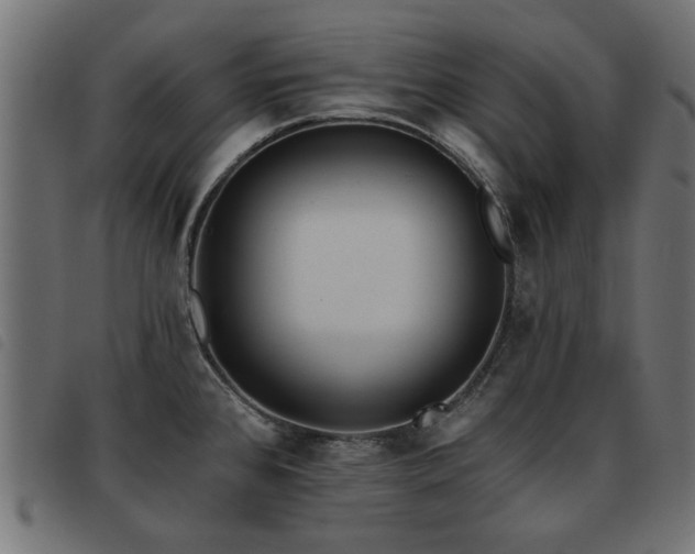 X0000093451384200710121345