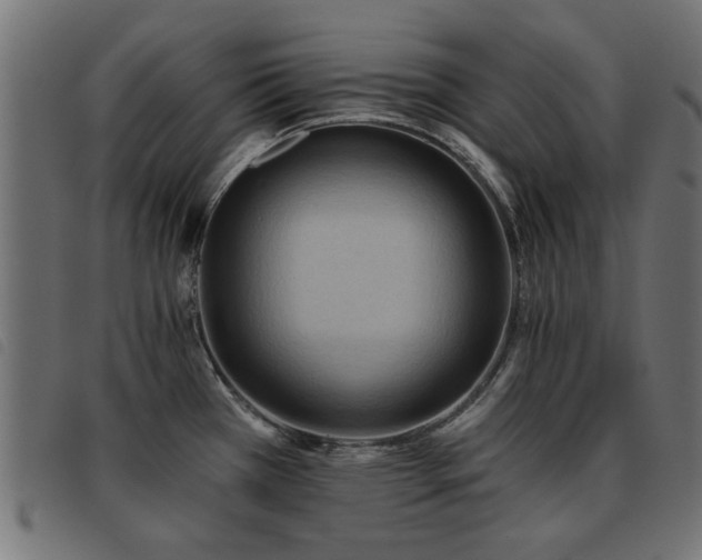 X0000093451385200710121345