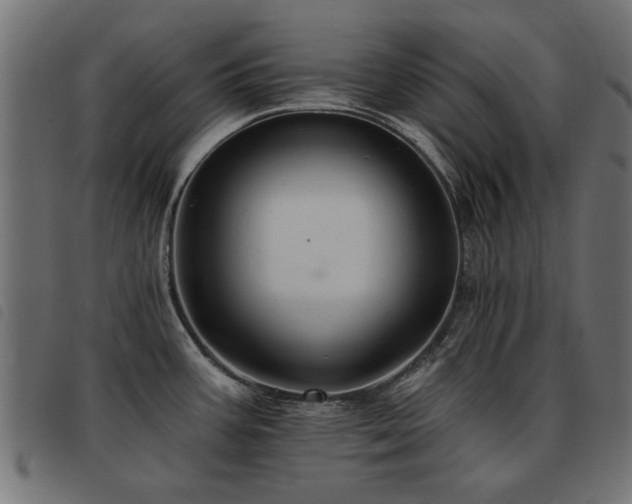X0000093451387200710121345