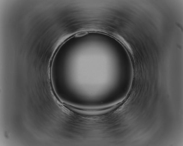 X0000093451388200710121345