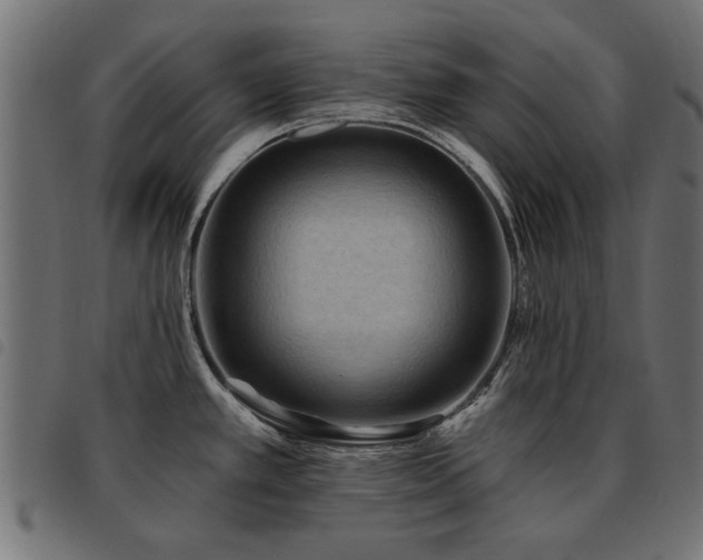 X0000093451389200710121345