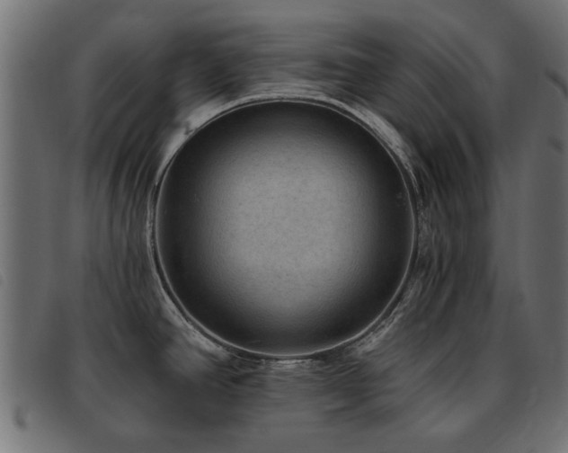 X0000093451390200710121345