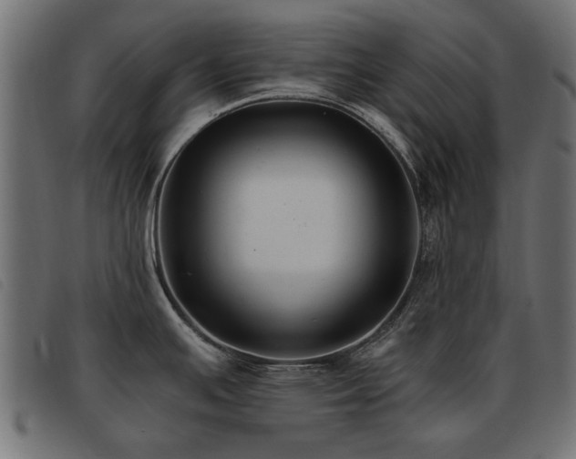 X0000093451391200710121345