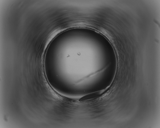 X0000093451392200710121345