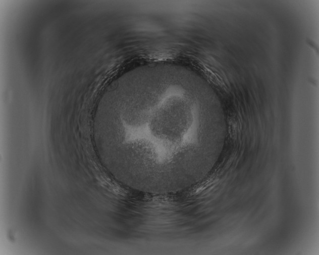 X0000093451393200710121344