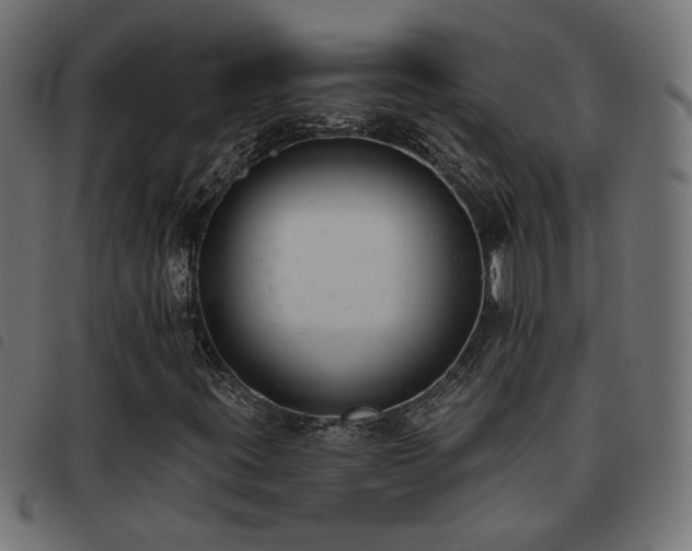X0000093451395200710121344