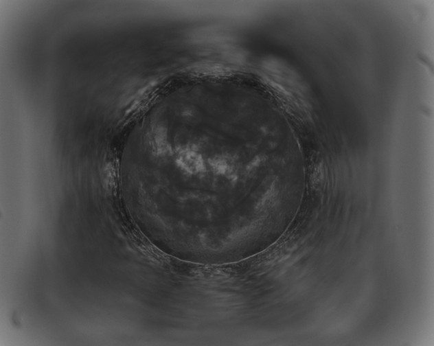X0000093451397200710121344